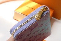 Classic Louis Vuitton wallet