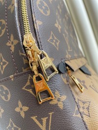 Louis Vuitton women bag